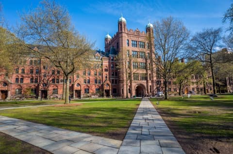 University of Tampa, USA Undergraduate Scholarship 2022/2023  | APPLY NOW |