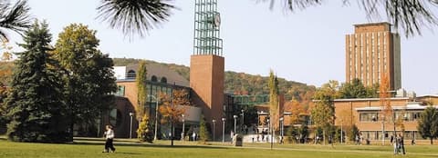 SCHOLARSHIP: Binghamton University, USA Undergraduate Scholarship 2022/2023 | APPLY NOW|