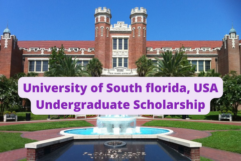 SCHOLARSHIP: University of South Florida ,USA Undergraduate Scholarship 2022/2023 |APPLY NOW|