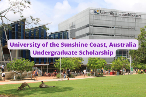 SCHOLARSHIP: University of the Sunshine Coast, Australia Undergraduate Scholarship 2022/2023 |APPLY NOW|