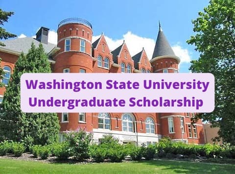 SCHOLARSHIP: Washington State University Undergraduate Scholarship 2022/2023 |APPLY NOW|