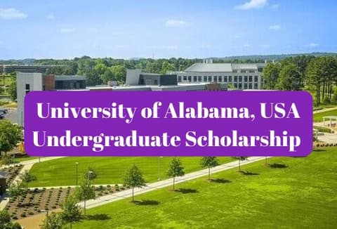 SCHOLARSHIP: University of Alabama, USA 2024 |APPLY NOW|