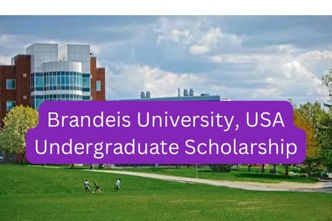 SCHOLARSHIP: Brandeis University, USA Undergraduate Scholarship 2024 |APPLY NOW|
