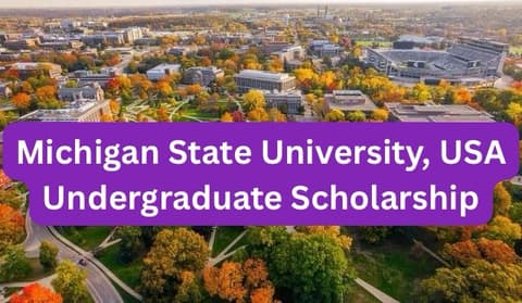 SCHOLARSHIP: Michigan State University, USA Undergraduate Scholarship 2026 |APPLY NOW|