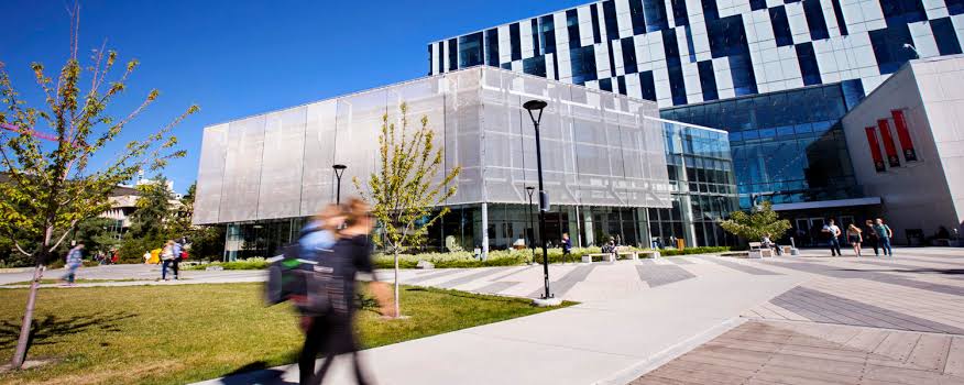University of Calgary Undergraduate Scholarship