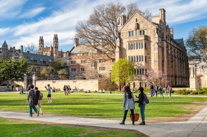 Yale University Undergraduate Scholarship