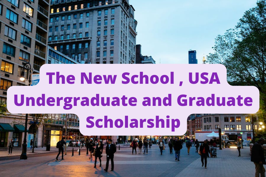 SCHOLARSHIP: The New School University, USA Undergraduate and Graduate Scholarship 2023/2024 |APPLY NOW|